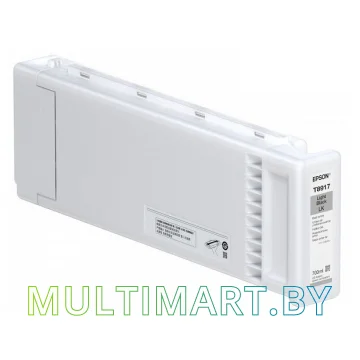 Картридж Epson C13T891700